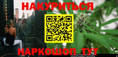прущие грибы Конаково