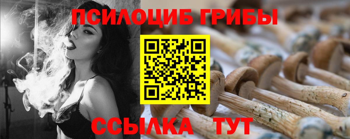 Ирбит  Галлюциногенные грибы Psilocybine cubensis  закладка  Вход с VPN 